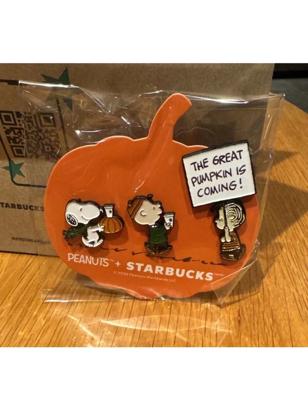 Starbucks Peanuts Snoopy Pins